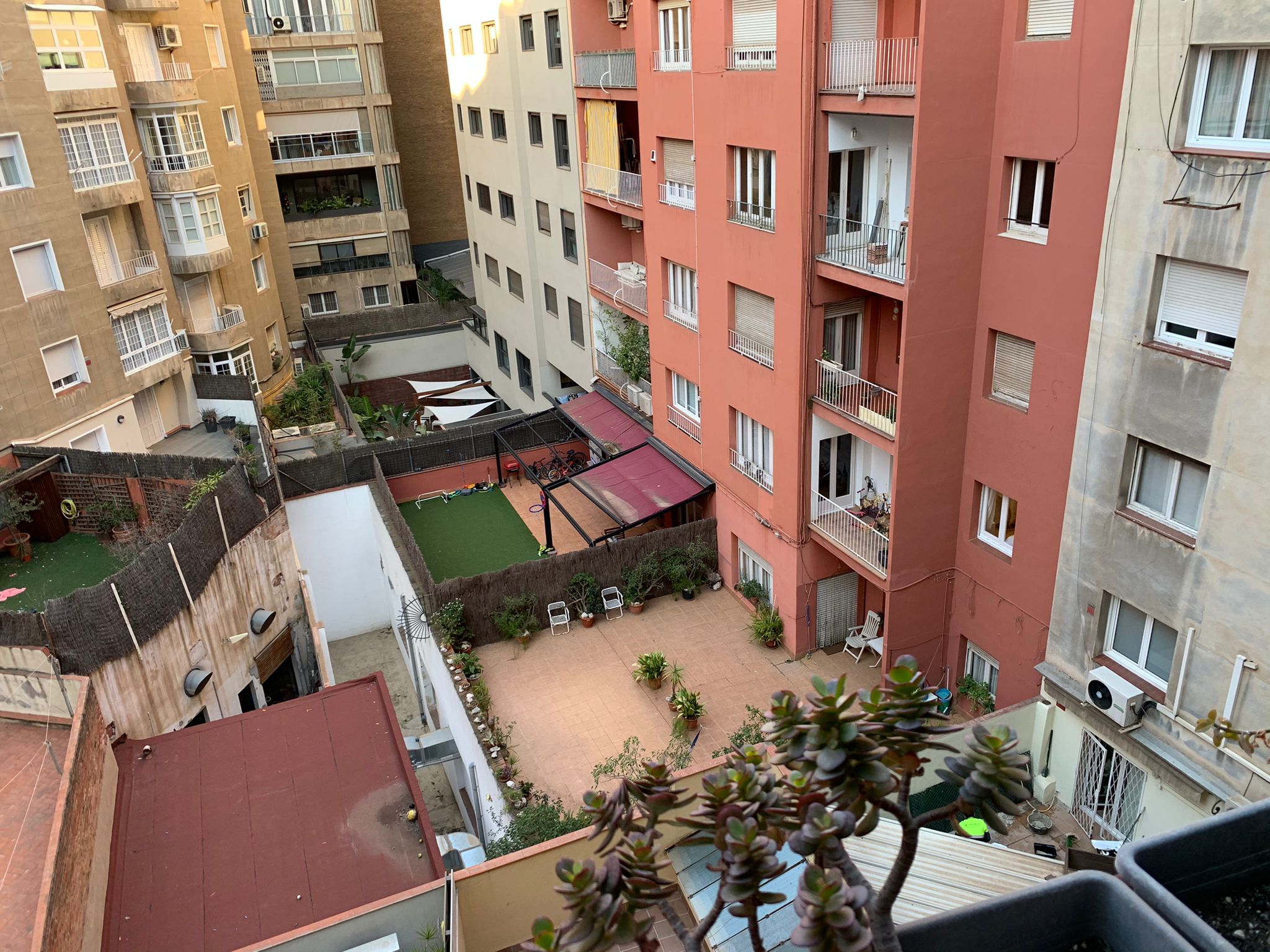 Vista trasera patio manzana